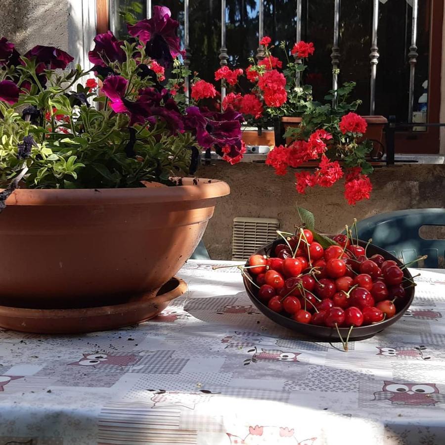 B&B Mamma Ari Fermo Luaran gambar